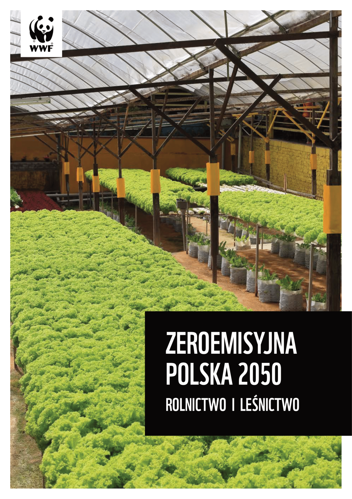 wwf-poland-zeroemisyjna-polska-rolnictwo-01.png